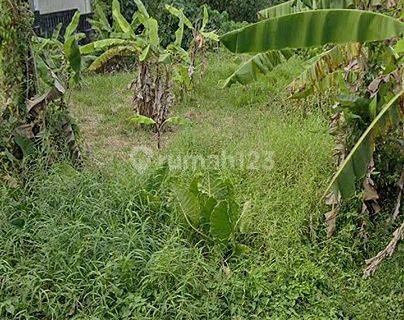 Dijual Tanah Dekat Pantai @yeh Gangga, Tabanan, Bali 1