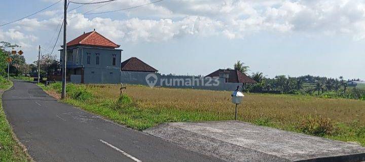 For Sale 20 are Land Suitable for Plot @ Baha, Mengwi 1