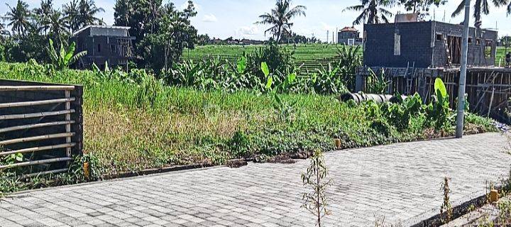 Leasehold/freehold Tanah 110m² View Sawah @yeh Gangga, Tabanan 1