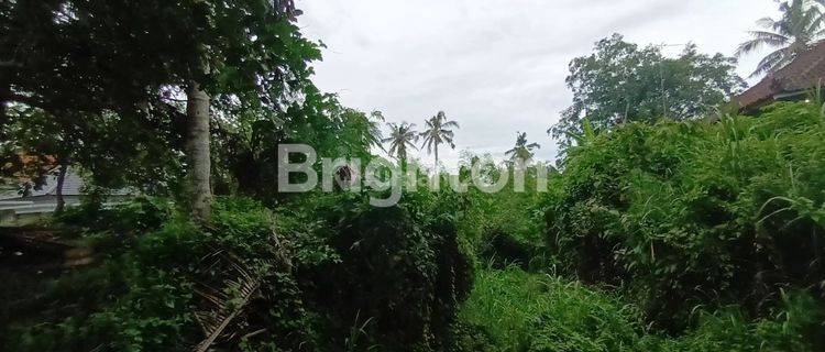 Tanah View Sawah Indah Dan Gunung Di Desa Bindu 1050 M² 1