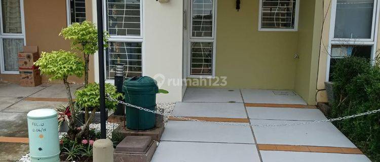 Rumah 2lt Disewakan Cepat Area Gading Serpong 1