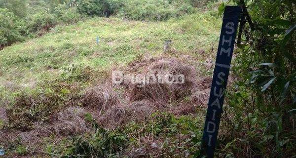 Tanah kavlingan diperumahan dekat jalan toll balsam 1