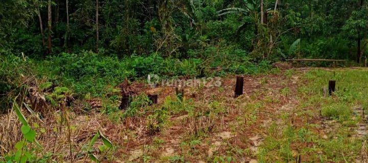 Tanah rata dekat kampus POLTEK dan STT MIGAS 1