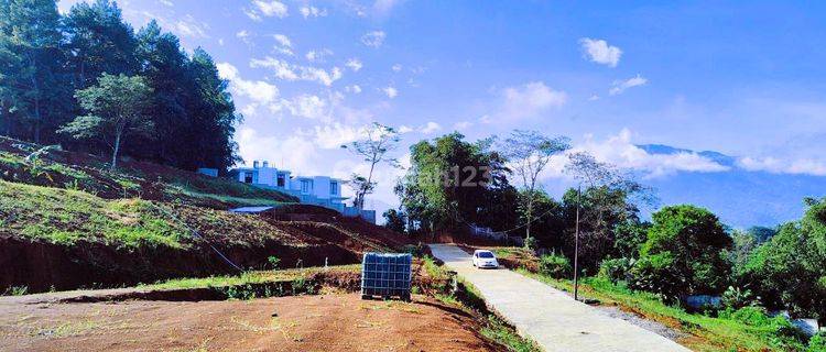 Tanah murah di jln alternatif taman safari warudoyong puncak 1