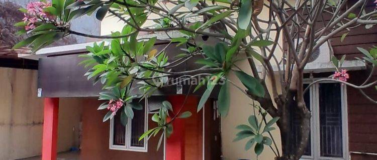 Rumah Murah  Minimalis Siap Huni Di Area Sektor 9 Bintaro Tangsel 1