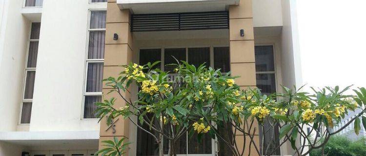 8x20 Townhouse Ancol Mansion Fully furnished  1