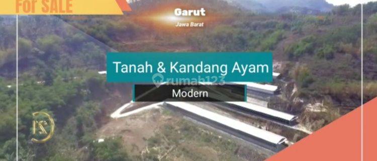 Kandang ayam close house ( modern ) Cibatu Garut  1