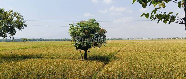 Tanah Di Ligung, Kab Majalengka, Zona Industri, Akses Containe 1