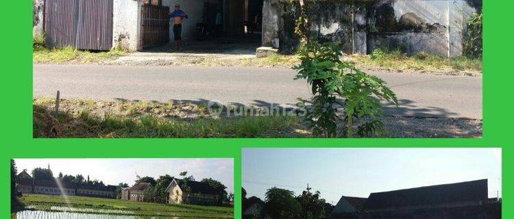Hot Listing ~ Ex Pabrik Penggilingan Padi ~ Hitung Tanah ! Jual Tanah Di Banyuwangi 1