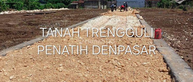 Jual Tanah Kavling Free Shm Penatih Denpasar Timur Bali Indonesia 1