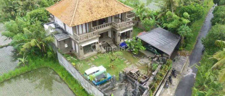 Villa with view of Pering Pering rice fields, Gianyar, Bali, Indonesia  1