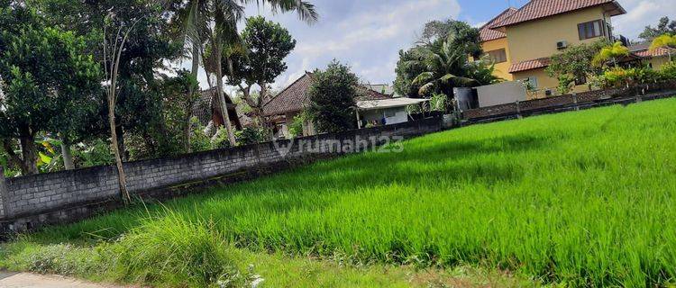 Jual tanah view sawah itr kuning Tabanan Bali Indonesia  1