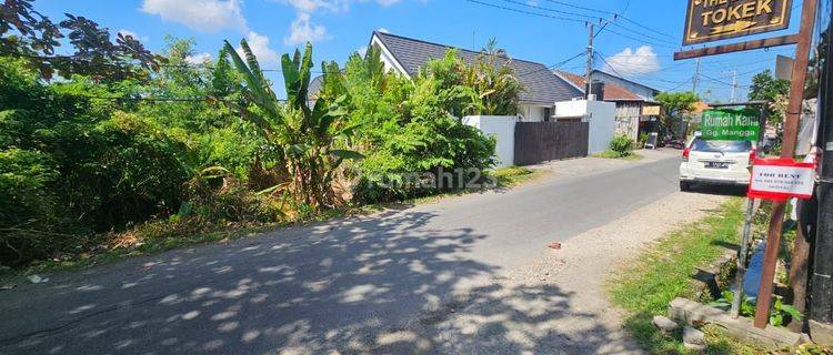 Jual tanah premium jln utama tumbak bayuh Mengwi Badung Bali Indonesia  1