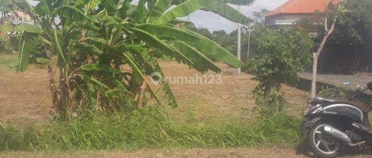 Sewa Tanah Jangka Panjang Jln Utama Waribang Kesiman Denpasar Timur Bali Indonesia  1