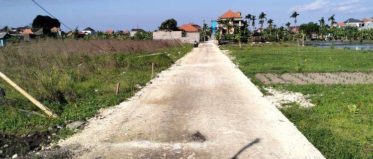 Sewa Tanah Luasan Kecil Penatih Denpasar Timur Bali Indonesia  1