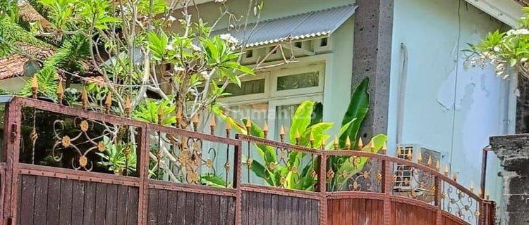 Di Kontrakan Rumah Big Garden Jln Tukad Balian Dekat Sanur Denpasar Selatan Bali Indonesia  1