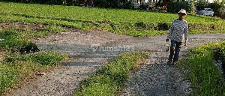 Sewa Tanah Jangka Panjang 25 Tahun Tegalalang Ubud Bali 1