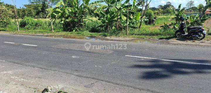 Sewa Tanah Jangka Panjang 25 Tahun Jln Induk Waribang Kesiman Denpasar Bali  1