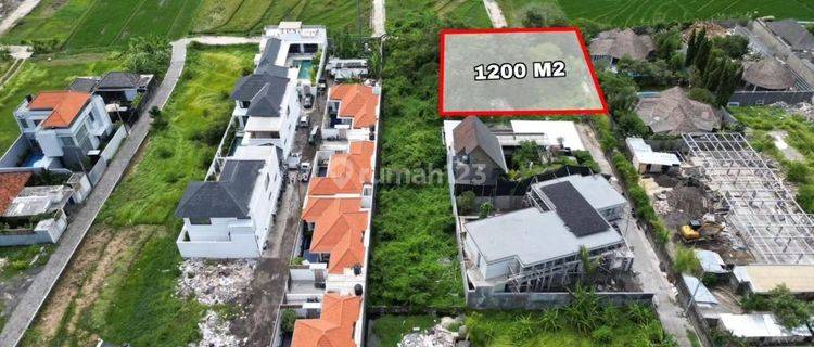 Tanah 1200 m² SHM Umalas Bumbak Dijual  1