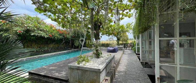 Villa Di Kaba Kaba Dg View Sawah Dan Sunset Dijual 1