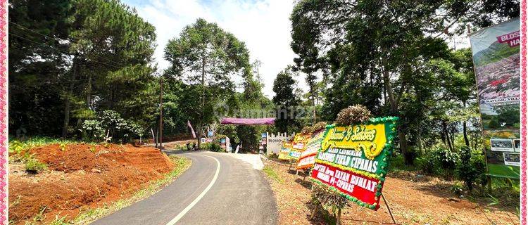 Rekomendasi Investasi Tanah Murah Di Puncak Istimewa 1