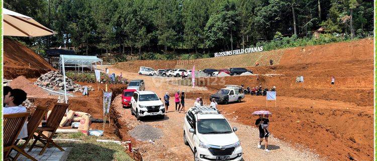Kavling Wisata Puncak Lokasi Strategis Harga Ekonomis 1