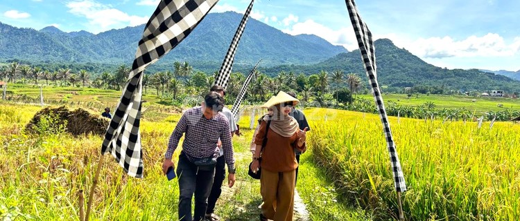 INVESTASI KAVLING SAWAH IDAMAN WUJUDKAN KETAHANAN PANGAN 1