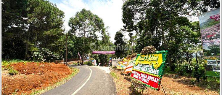 Rekomendasi Investasi Properti Menguntungkan Di Puncak 1