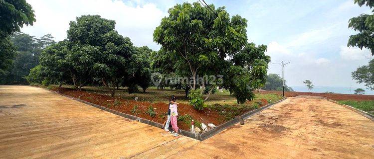 Tanah Murah Wisata Investasi Untuk Masa Depan Bahagia 1
