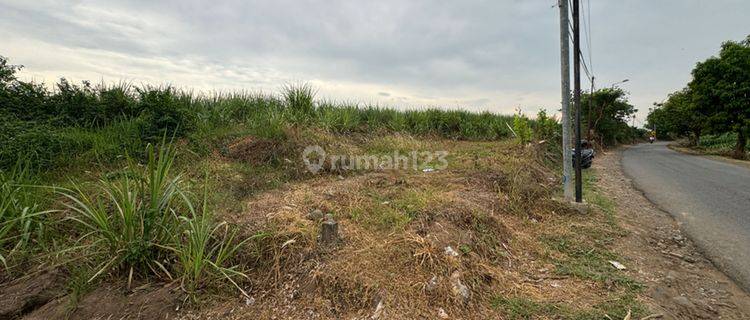 Tanah SHM Nol Jl Raya Mojokerto Cocok Untuk Pabrik Perumahan 1