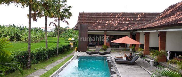 Spacious Vila for Sale in canggu  1