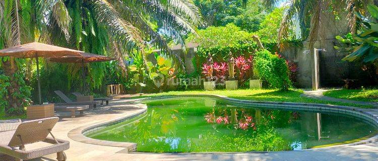 Di Jual Guest House Di Lodtunduh Ubud Gianyar 1