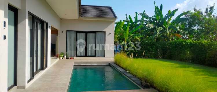 Disewakan Villa Cantik 2 Kamar Di Ketewel 1