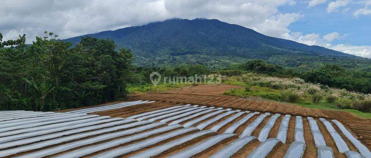 Tanah Murah Di Cicurug Kab. Sukabumi Hanya 285rb/meter Nego 1