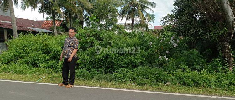 Dijual Tanah Luas Produktif Pinggir Jalan 1