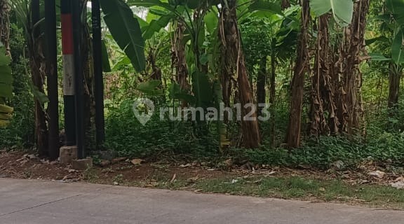 Tanah Bagus Eksklusif Siap Huni di Untung Suropati 1