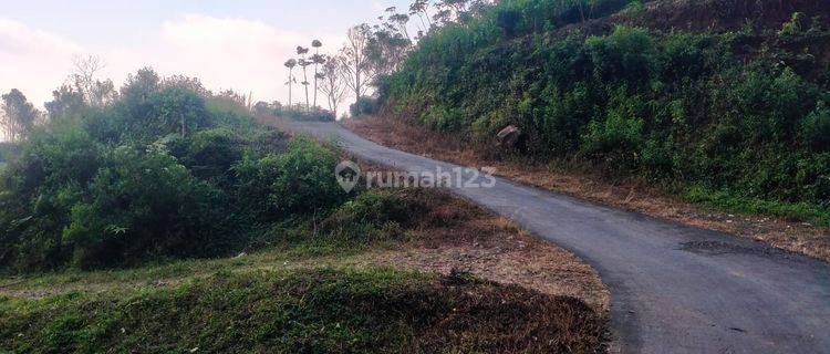 Tanah Perkebunan Strategis di Bawang Batang 1