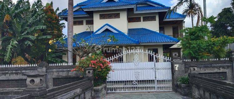 For Rent/Disewqkan Rumah 5 Are ,6br Di Sidakarya Dekat Sanur 1