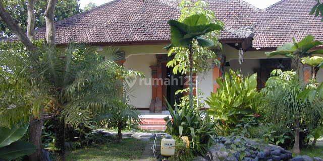 Nice And Beautiful Balinese House With 4 Buildings And Spacious Area  1