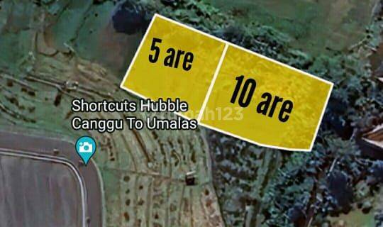 FOR SALE LAND - PREMIUM LAND LOT IN THE CENTRAL OF CANGGU, BRAWA  1