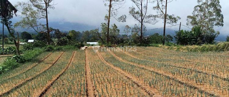 FOR SALE LAND VIEW LAKE BERATAN & MOUNT AGUNG 1