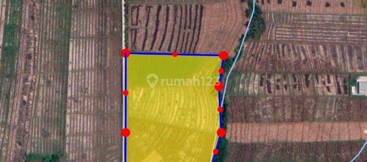 Leasehold 80 Ara Loss Pantai Kelanting - Tabanan 1
