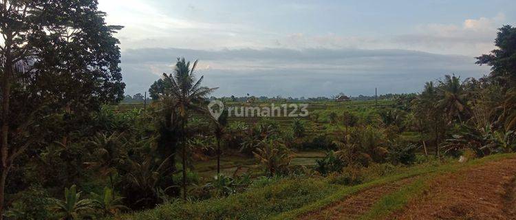 Jual tanah view sawah werdibuana mengwi badung 1