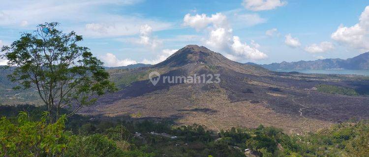 Dijual 10 are jln.raya penelokan kintamani view Los gunung batur 1