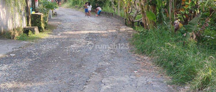 Dijual tanah 8 are canggu munggu