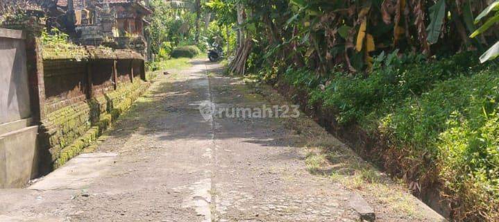 19.8 are land for rent in a rural setting in Pejeng Kaja 1