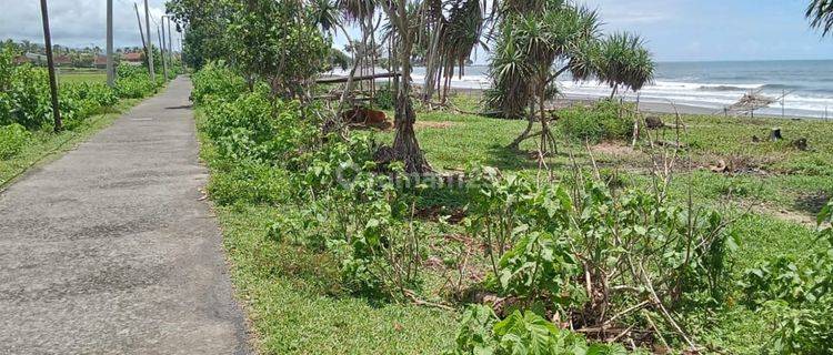 187 are land for sale on the beach of Mendoyo Jembrana 1