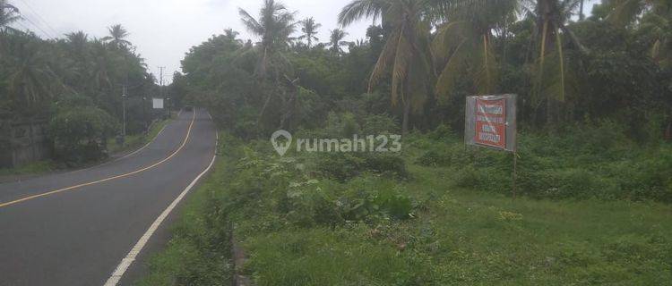 Dijual tanah 159 are Tejakula pinggir jalan dan pantai 1