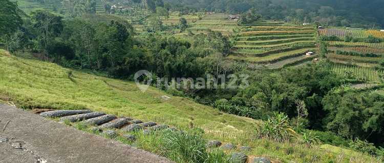 Dijual Tanah Di Jalan Raya Bedugul Baturiti 1
