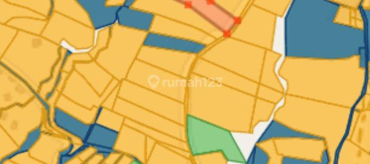 Dijual Tanah 65 Are Dalang Selemadeg Timur Tabanan 1